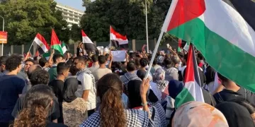 Egyptians in Austria rally for Gaza, back Sisi’s stance