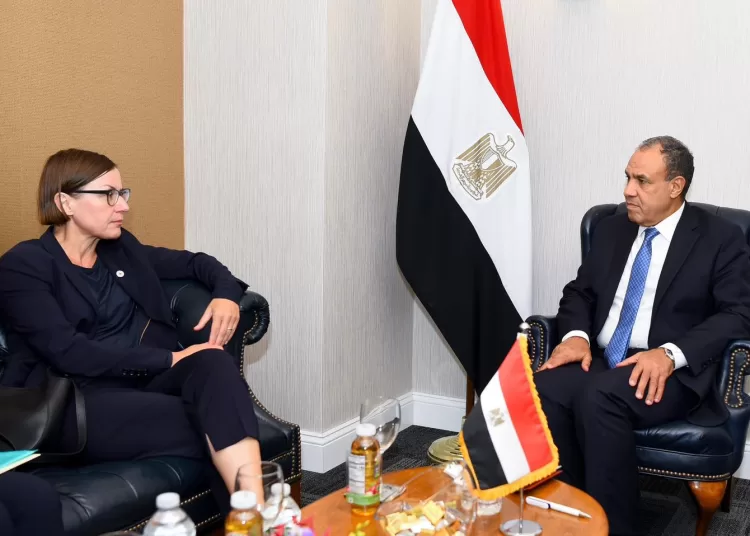 FM urges urgent collective action to uphold humanitarian law, criticizes Israeli policies 2 - Egyptian Gazette FM urges urgent collective action to uphold humanitarian law, criticizes Israeli policies 1 - Egyptian Gazette