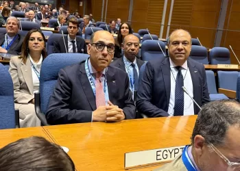 El-Hefny addresses ICAO, highlights international co-operation efforts