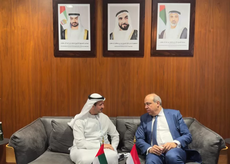 Egyptian-Emirati partnership to boost civil aviation sector 1 - Egyptian Gazette