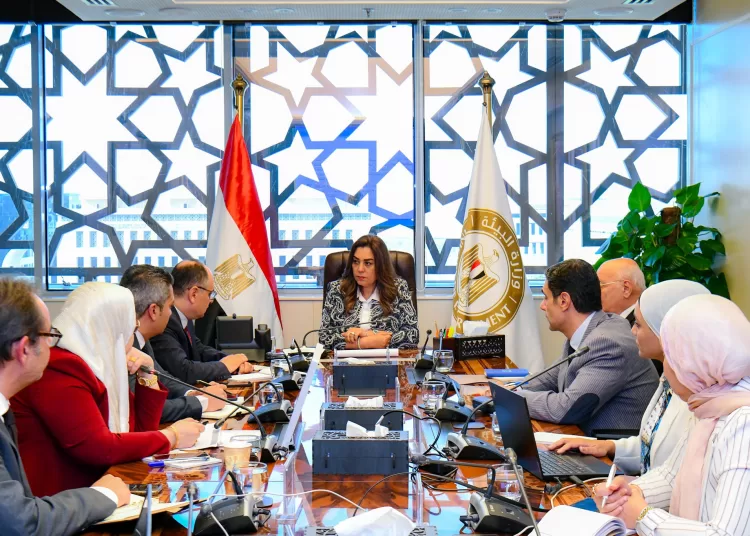 Acting min. of environment reviews ways to boost coop with CEDARE, PERSGA 1 - Egyptian Gazette