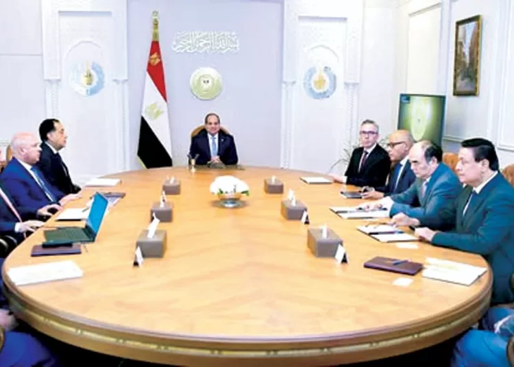 President: Enhanced foreign direct investment creates more jobs, promotes industry growth 2 - Egyptian Gazette President: Enhanced foreign direct investment creates more jobs, promotes industry growth 1 - Egyptian Gazette