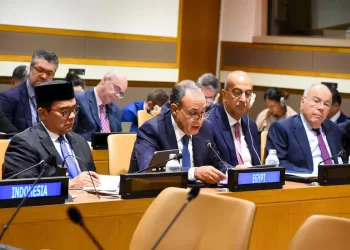 Egypt pushes for fairer global finance