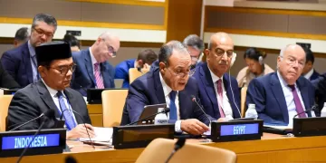 Egypt pushes for fairer global finance