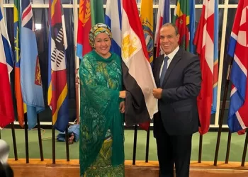 Egypt hails UN role in peace, security