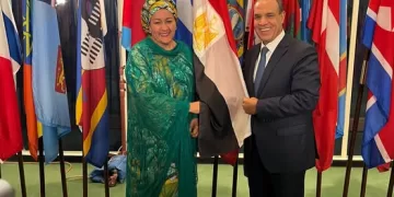 Egypt hails UN role in peace, security
