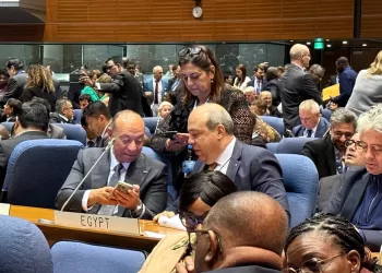 Egypt secures resounding win in ICAO Council category 2 elections