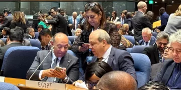 Egypt secures resounding win in ICAO Council category 2 elections