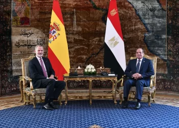 Egypt, Spain stress urgent need for immediate ceasefire in Gaza