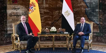 Egypt, Spain stress urgent need for immediate ceasefire in Gaza