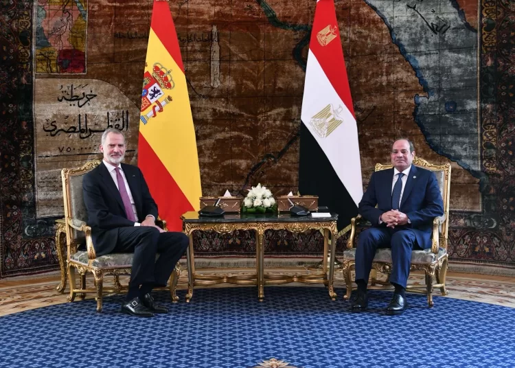 Egypt, Spain stress urgent need for immediate ceasefire in Gaza 1 - Egyptian Gazette
