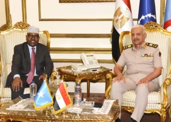 Egypt, Somalia boost military cooperation talks