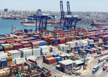 Citrus, potatoes lead national farm exports