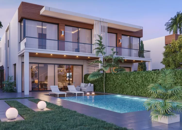 Al Ahly Sabbour 2025… Renewed vision, entrenched leadership 1 - Egyptian Gazette