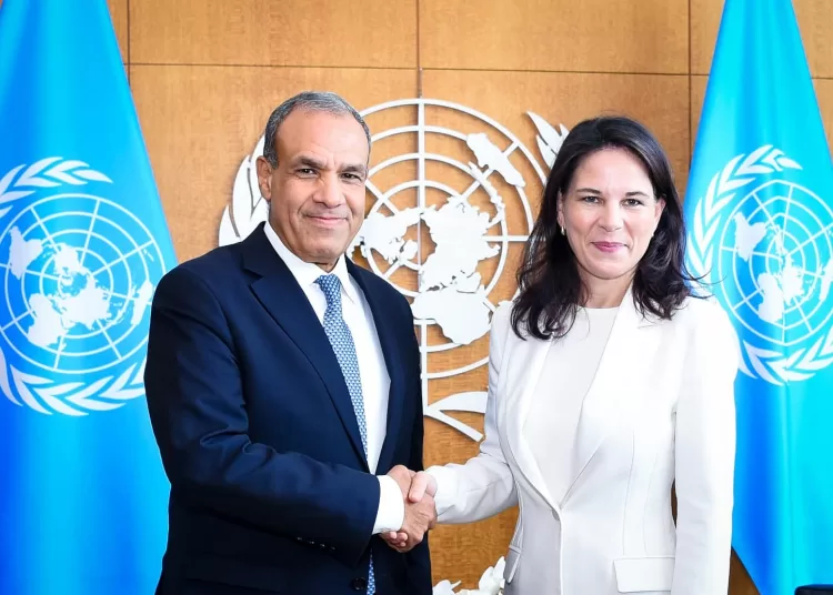 FM reiterates urgent need to enhance UN credibility now more than ever 1 - Egyptian Gazette