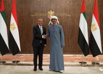Egyptian, UAE FMs underline distinguished ties between two states