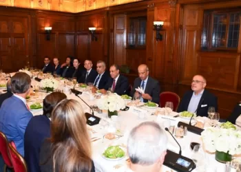 Egypt eyes expanded US investment in strategic sectors