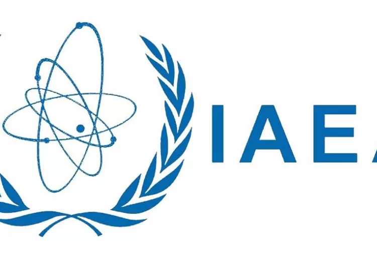 IAEA backs Egypt's call for nuclear-free Middle East 1 - Egyptian Gazette