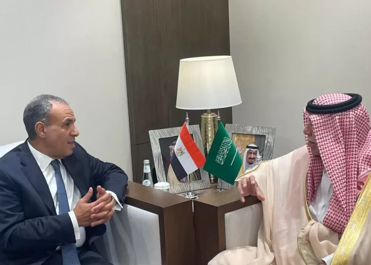 FM affirms commitment to facilitating Saudi investments 1 - Egyptian Gazette