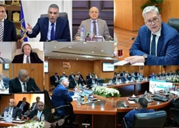 Egypt pushes for greater petroleum investment in the South