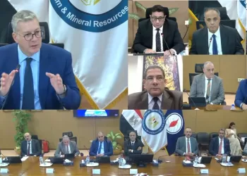 ‘El-Hamra Port strategic pillar for attracting investments, energy trading’