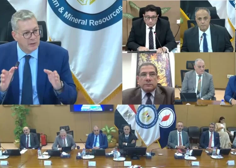 'El-Hamra Port strategic pillar for attracting investments, energy trading' 1 - Egyptian Gazette