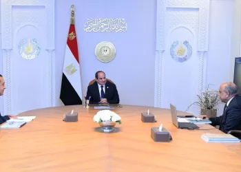 President reviews efforts to develop national power grid, calls for expanding use of renewable energy