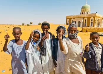 Egypt, Saudi Arabia, UAE, US issue joint statement on restoring security, peace in Sudan