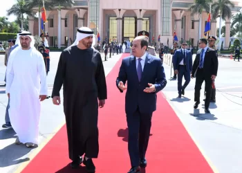 Sisi receives UAE president at Cairo airport