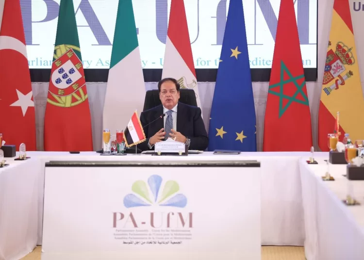 Mediterranean Parliament takes historic stand on Gaza Crisis 1 - Egyptian Gazette