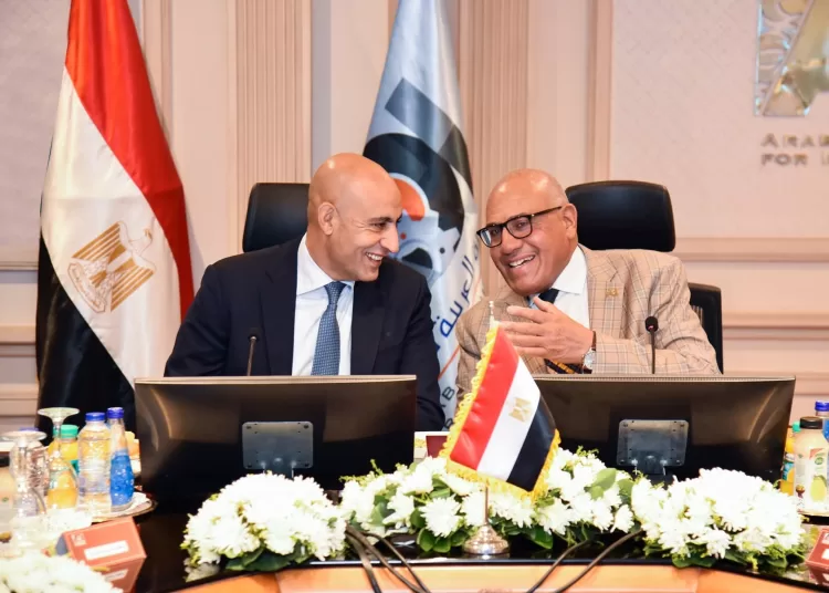 Education Ministry, AOI to boost digital learning 1 - Egyptian Gazette