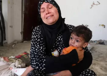 Gaza: 5 Palestinians, including 3 children die as result of famine within past 24 hours