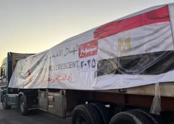 ERC: 36th Zad al-Izza convoy of 3,200 tonnes into Gaza