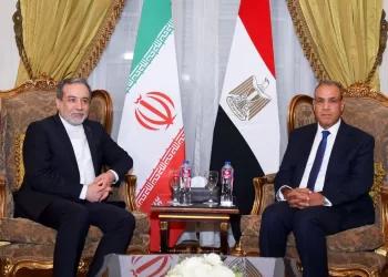 Egyptian, Iranian FMs review bilateral ties, regional developments
