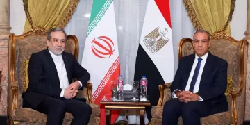 Egyptian, Iranian FMs review bilateral ties, regional developments