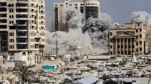 Occupation forces uproot olive trees west of Jenin