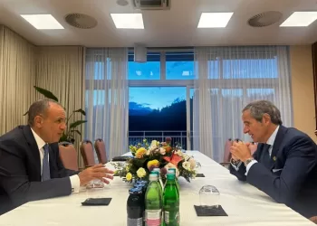 FM discusses Iran nuclear talks, regional de-escalation with IAEA chief