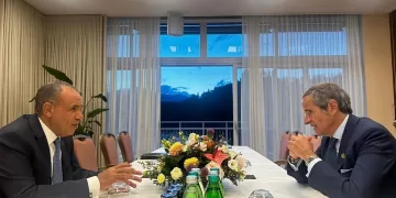 FM discusses Iran nuclear talks, regional de-escalation with IAEA chief