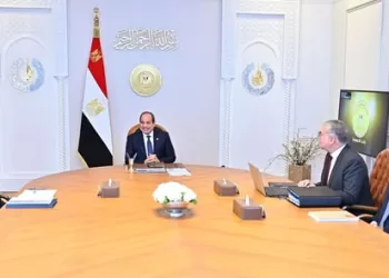 Sisi urges enhanced incentives to attract more petroleum investments