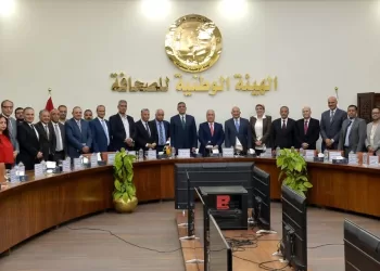 Giza Governor reviews local projects at NPA forum