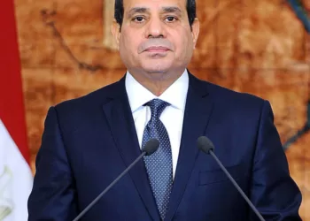 Egypt’s rights council welcomes Sisi move to return draft criminal procedure law to parliament