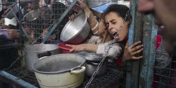 Death toll from famine, malnutrition in Gaza climbs to 422, including 145 Children 1 - Egyptian Gazette Death toll from famine, malnutrition in Gaza climbs to 422, including 145 Children