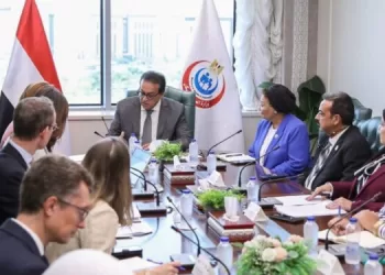 Egypt–France talks focus on developing healthcare services