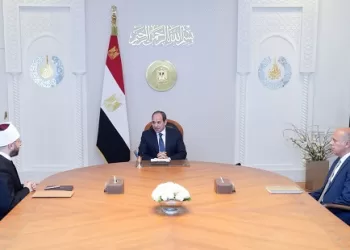 President Sisi reviews anti-extremism efforts