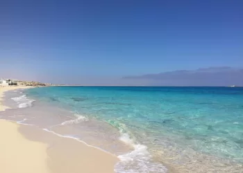 Egyptian projects draw Arab investors at Riyadh Expo