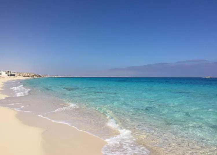 Egyptian projects draw Arab investors at Riyadh Expo 2 - Egyptian Gazette Egyptian projects draw Arab investors at Riyadh Expo 1 - Egyptian Gazette