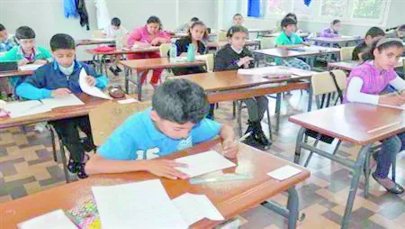 Педагогический взгляд на учебную программу 4 начальной школы - Египетский вестник