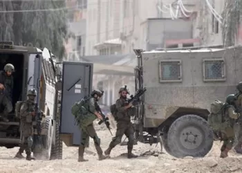 Egypt, Islamic nations lambast bills to extend Israeli sovereignty to occupied W. Bank