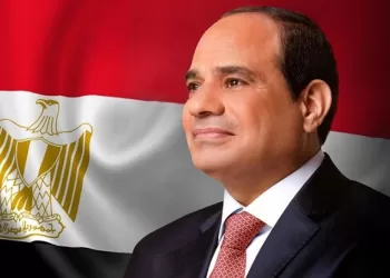 ‘Egypt played pivotal role in ending Gaza war’