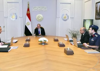 Sisi directs boost in fuel security, clean energy investment